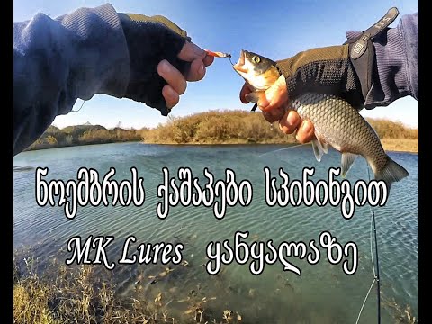 ნოემბრის ქაშაპი და ქორჭილა MK Lures  ყანყალაზე (Spiningit  Tevzaoba) Kot  ,Levan  and  Gio